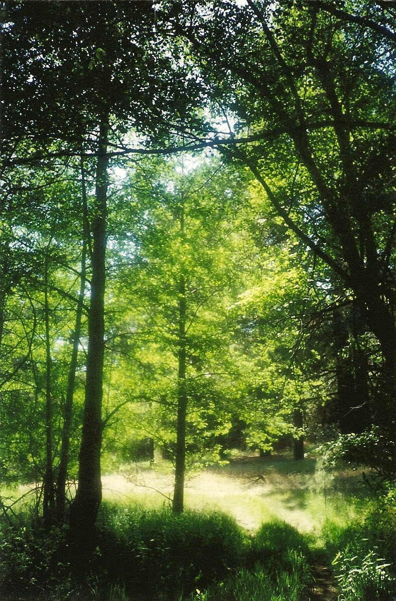 A Path to Light
